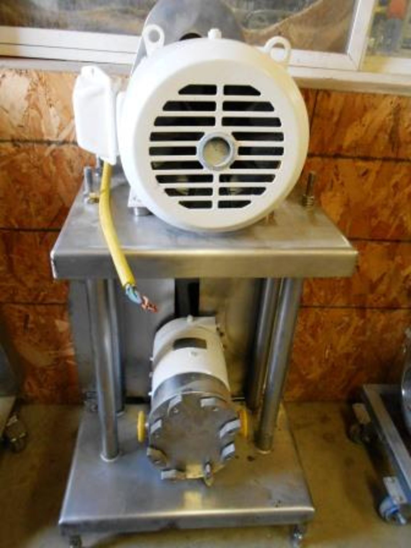 Tri-Clover PR-25 PD Pump, Belt Drives, On Vertical Stainless Stand, 3 HP, 1740 RPM, 230/460 Volt