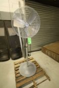 TPI Pedestal Fan