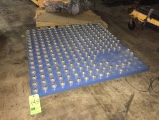 48" Ball Roller Conveyor(LOCATED IN IOWA, RIGGING INCLUDED WITH SALE PRICE)***EUSA***