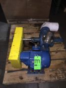 PD Pump with Relief Valve and US Electric Drive Motor and Flanged Inlet-Outlet and Chain -