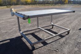 Aprox. 46" W x 88" L x 47" H Portable S/S Conveyor Frame with Drive (Note: Missing Motor) (Tag #