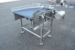 Aprox. 29" W x 38" L Conveyor Section with Guide Rails and Drive (Asset #30010073535)