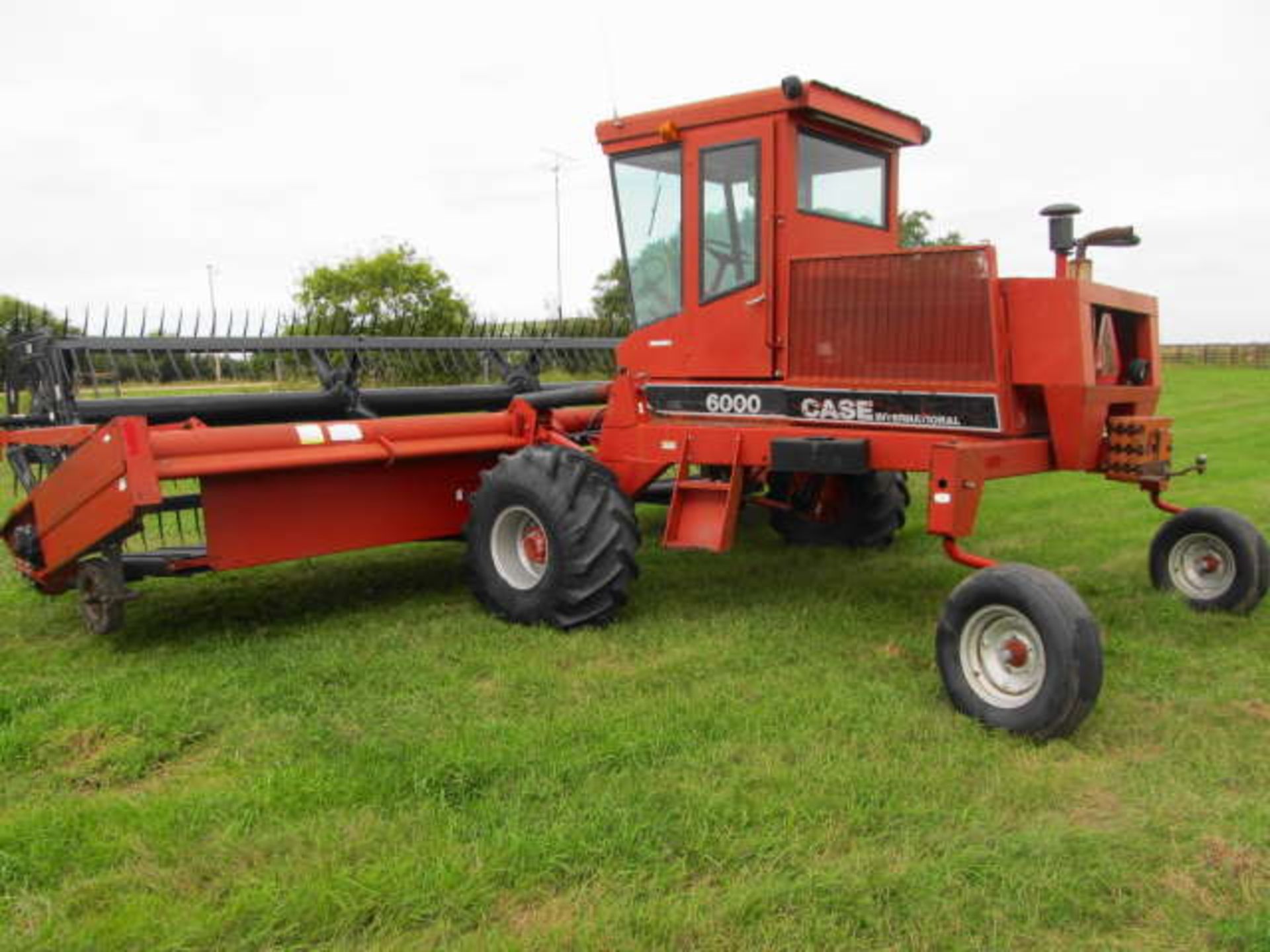 CASE IH 6000 SP SWATHER; 25 FT, Pick-up Reel, Double Swath, 2430 Hours, SN.0000002078-1989