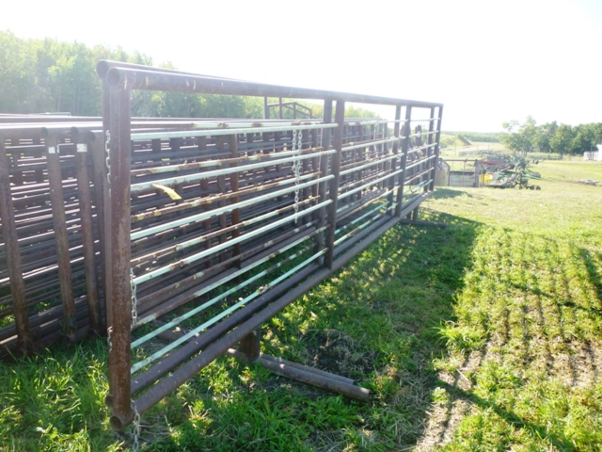 24'X6' HD LIVESTOCK PANEL FREE STANDING