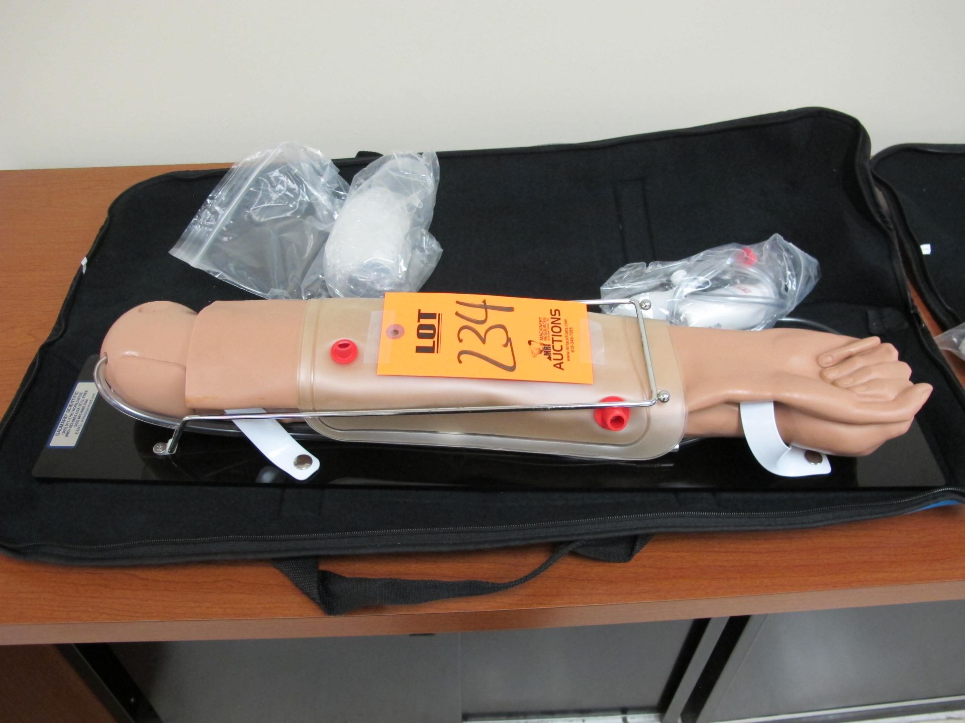Blood Pressure Practice Manikin Arm