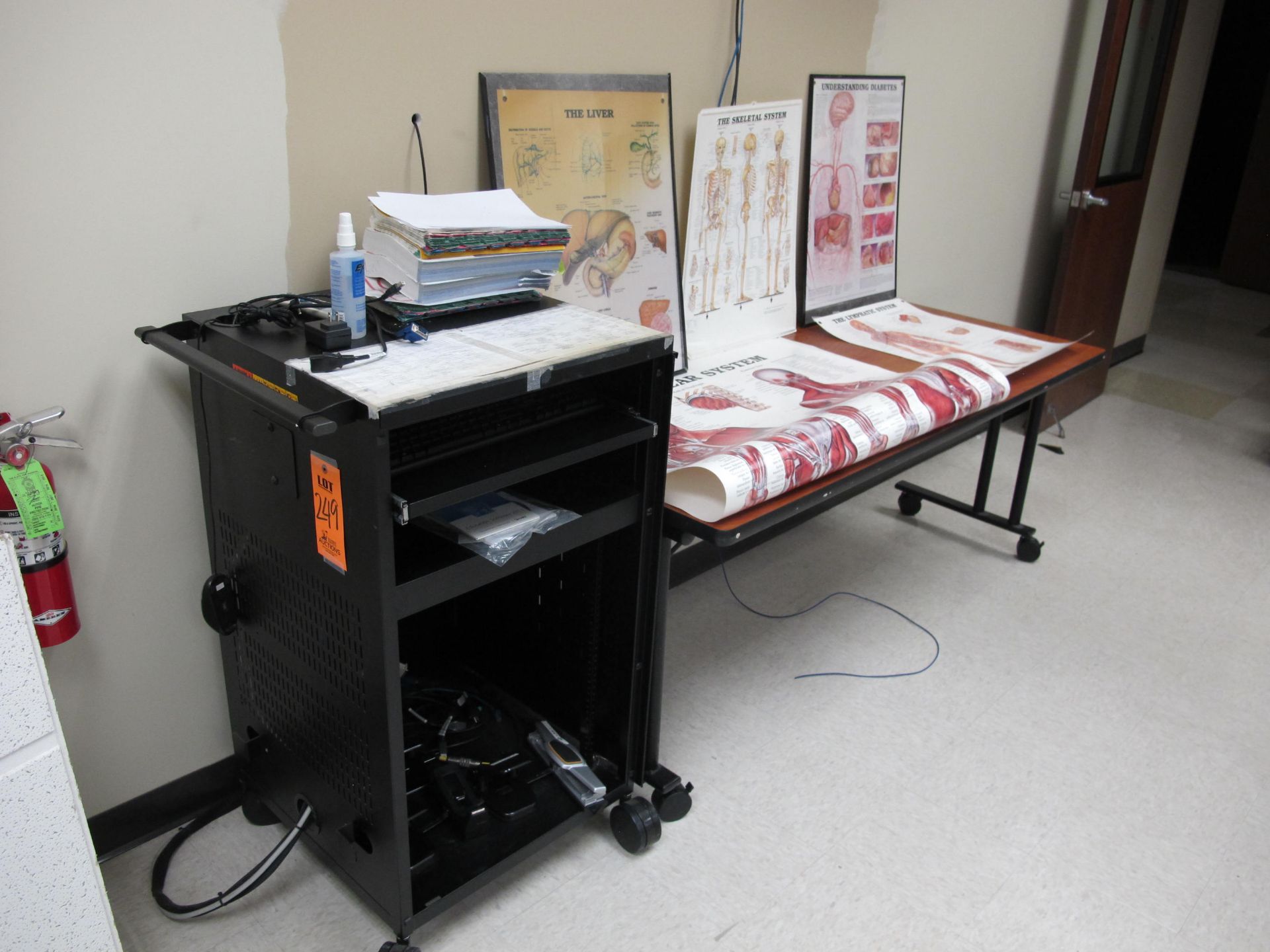 Lot including Audio/Video Cart, 6ft. X 30" Work Table, Medical Posters, Desk Organizers etc.