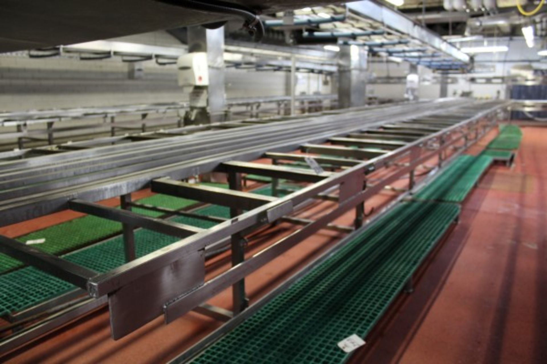 Stainless Steel De-Boning Conveyor System, 30" X 64'