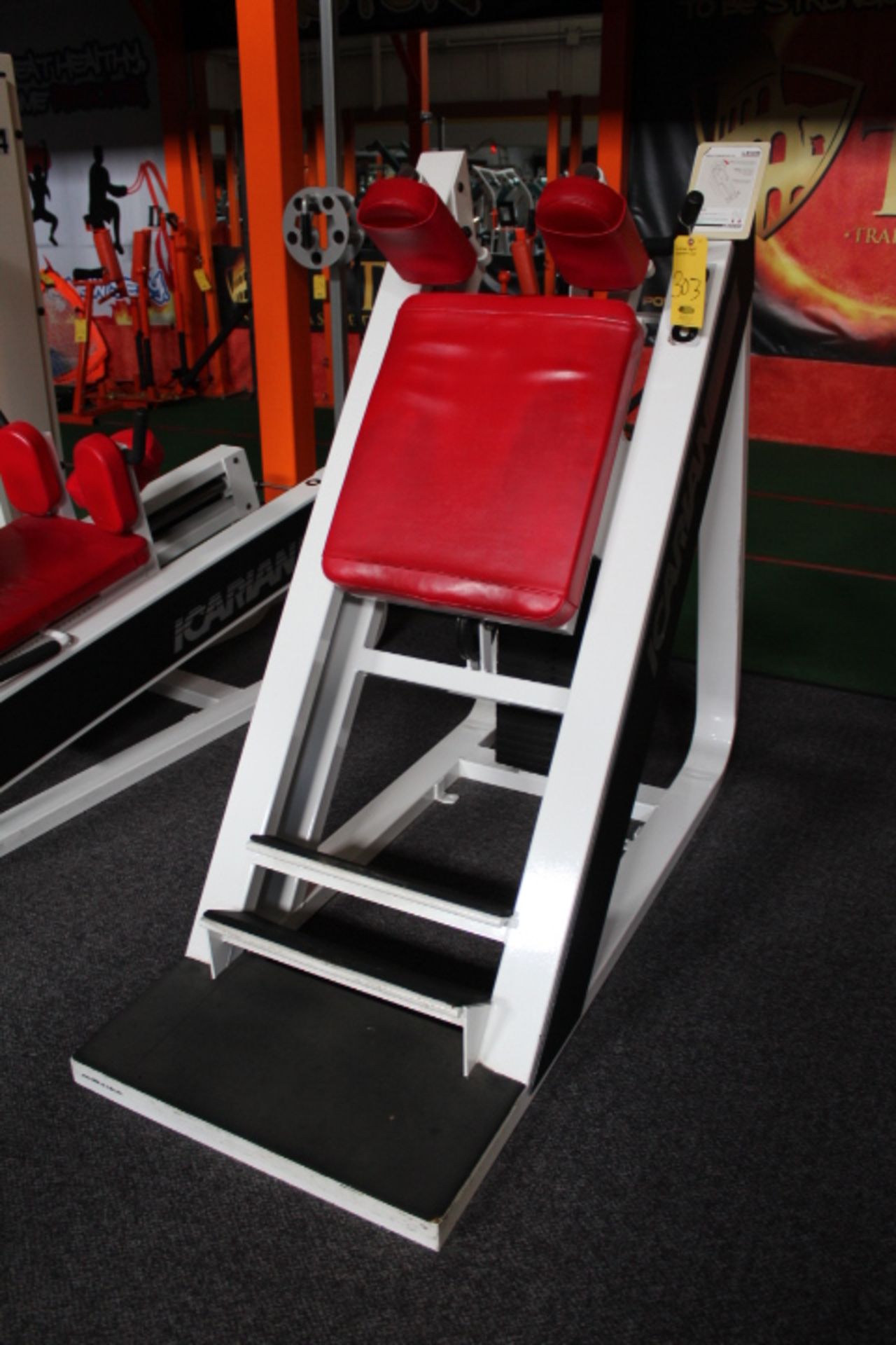 ICARIAN ANGLED LEGS CALF PRESS 601