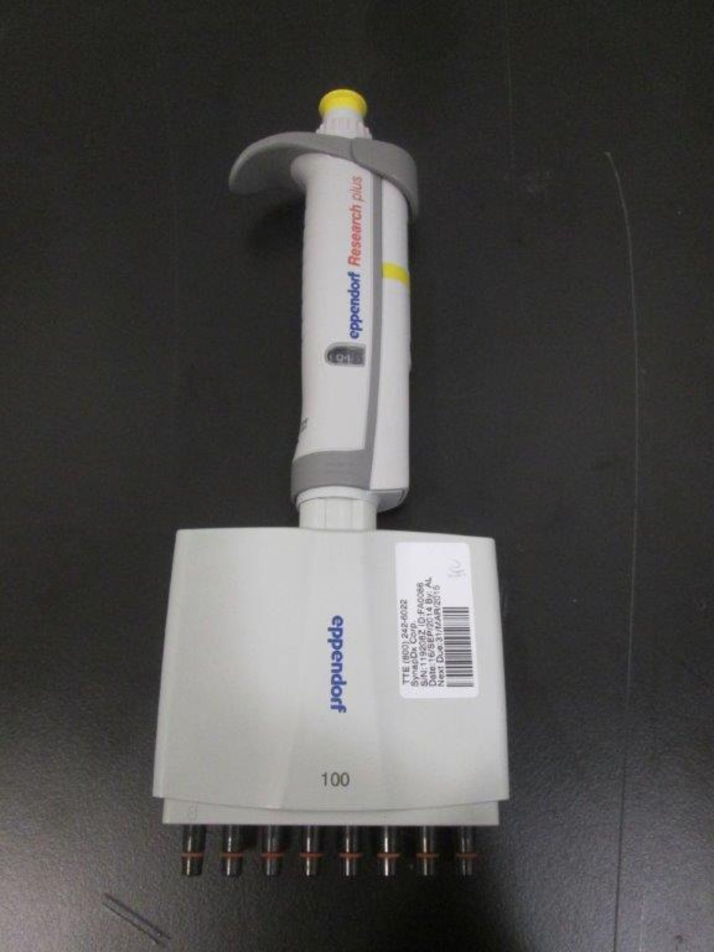 Eppendorf Research Plus 8-channel Pipet 10-100u