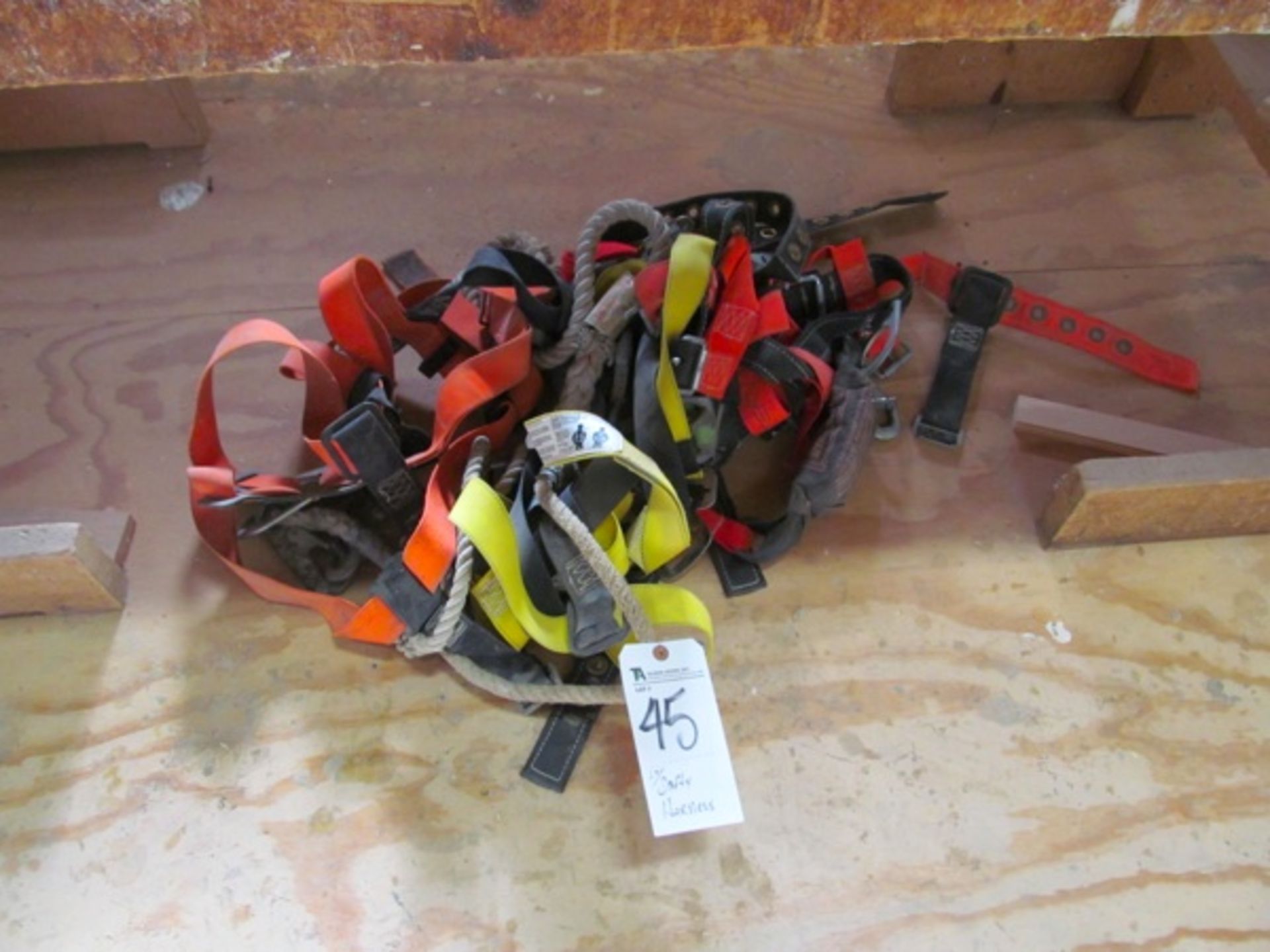 (Lot) Safety Harness