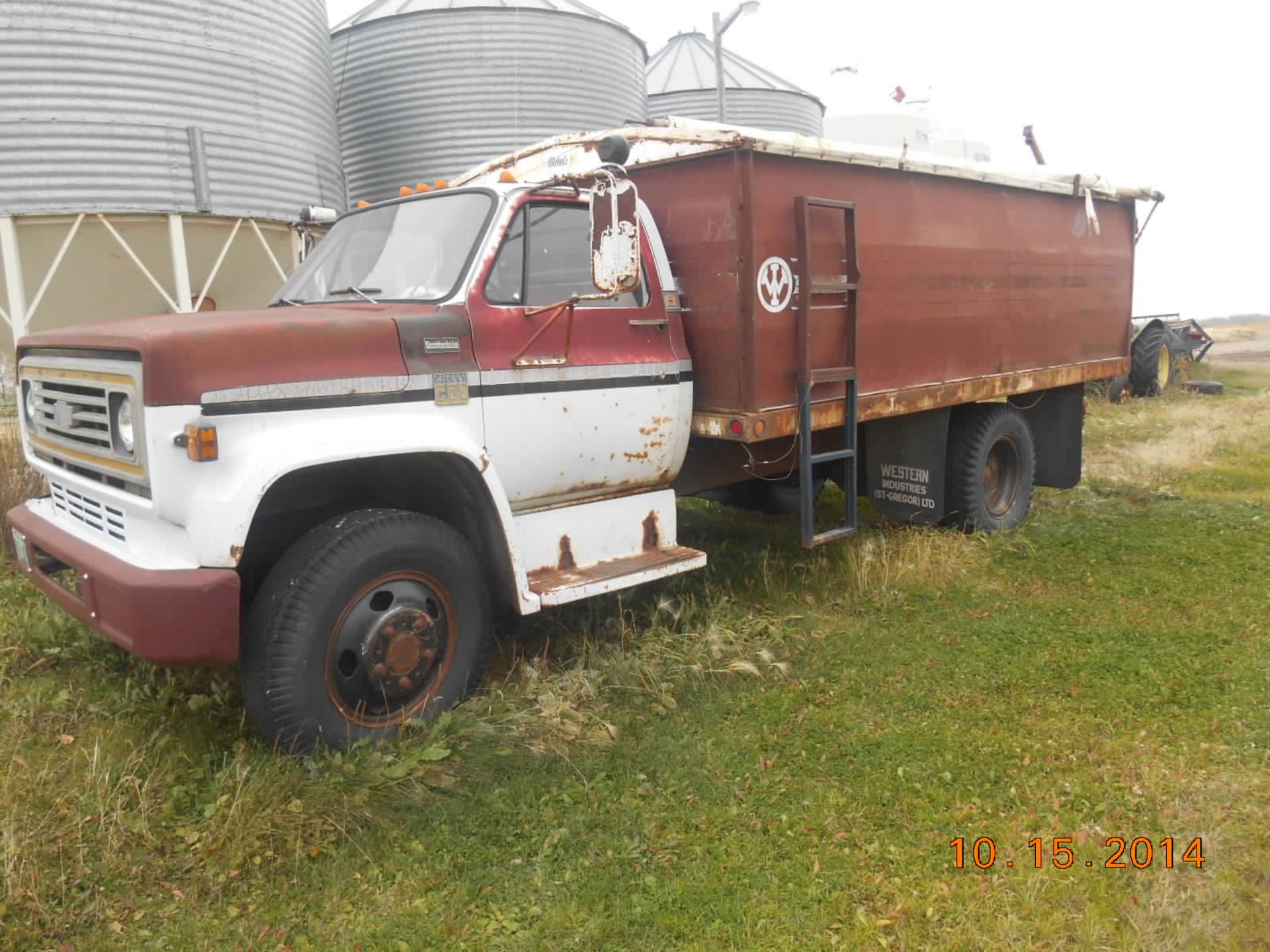 1977 Chev C60 Grain truck: 16â€™ box and hoist tarp, 366 V8, 5x2