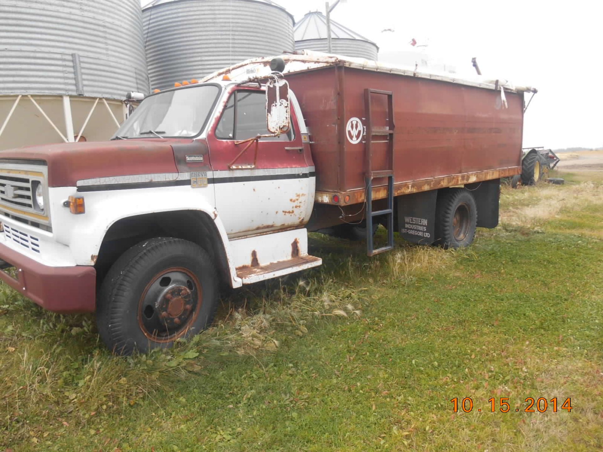 1977 Chev C60 Grain truck: 16â€™ box and hoist tarp, 366 V8, 5x2 - Image 2 of 4