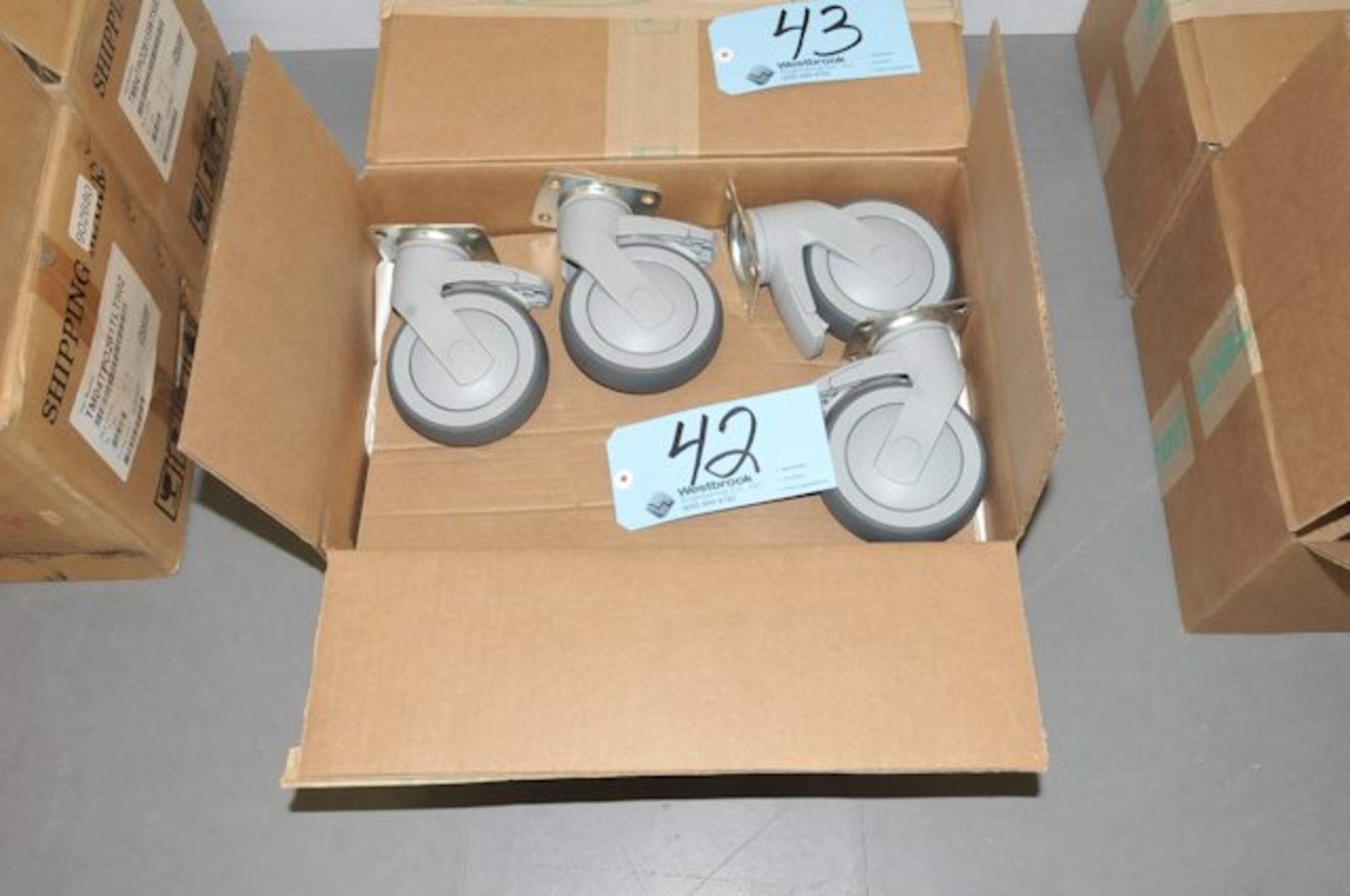 Lot-Casters in (1) Box