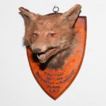 Fox mask mounted on shield shape plaque,