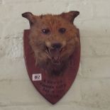 Fox mask mounted on shield shape plaque