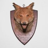 Fox mask mounted on shield shape plaque