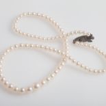 Mikimoto - graduated row of cultured pearls set with seed pearl set silver clasp, stamped 'M', the