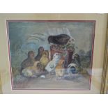 Edwardian water colour depicting chicks with a teracotta pot, signed J Beaven, dated 1901,