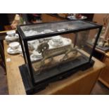 Brass dragon ornament in glazed display case