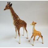 Large Beswick model of a giraffe, 31 cm's high, and a baby giraffe  No obvious sign of restoration