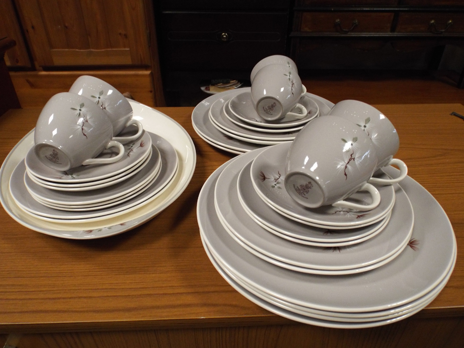 Royal Doulton Frost Pine pattern dinner and tea set for six people