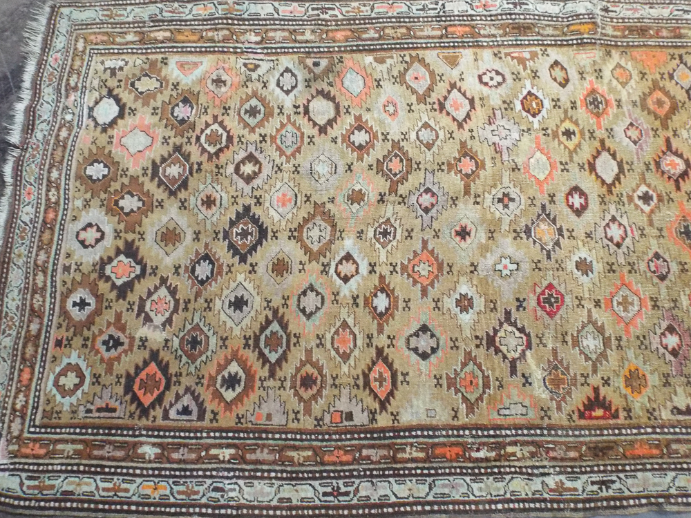 A patterned Shirvan rug (approx 9' x 4')