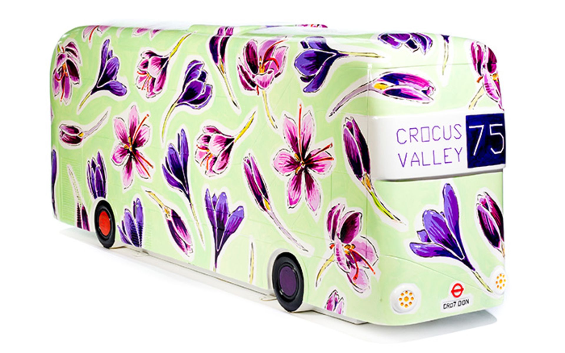 Design: The ‘75’ to Crocus Valley  Artist: Lis Watkins    About the artist  Lis Watkins is an