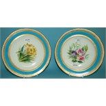 A Minton porcelain plate, painted daffodils, A7302, 23 cm diameter, and another similar (2)