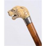 A walking stick, the carved ivory handle in the form of a big cat, with a silver collar, London 1885