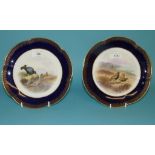 A pair of Royal Worcester plates, decora