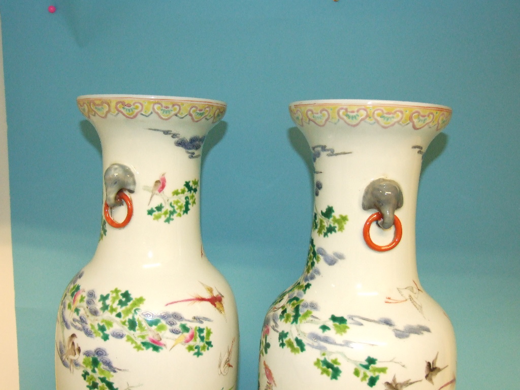 A pair of Chinese vases, decorated birds - Image 5 of 7