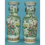 A pair of Chinese vases, decorated birds