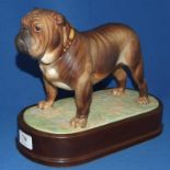 A Royal Worcester figure, The Bulldog, 3