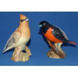 A Beswick Baltimore Oriole, 2183, gloss,