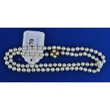 A single strand pearl necklace,