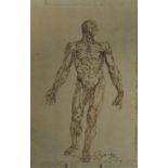 Continental school, an anatomical study of a male, ink, indistinctly inscribed and dated 1647 (?),
