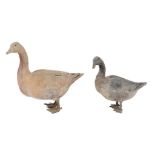 A composition goose, with glass eyes, 54 cm high, and another similar, 38.5 cm high (a.f.