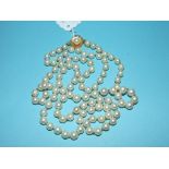 A single strand pearl necklace,