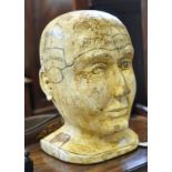 A carved and painted Phrenological style head, 36,