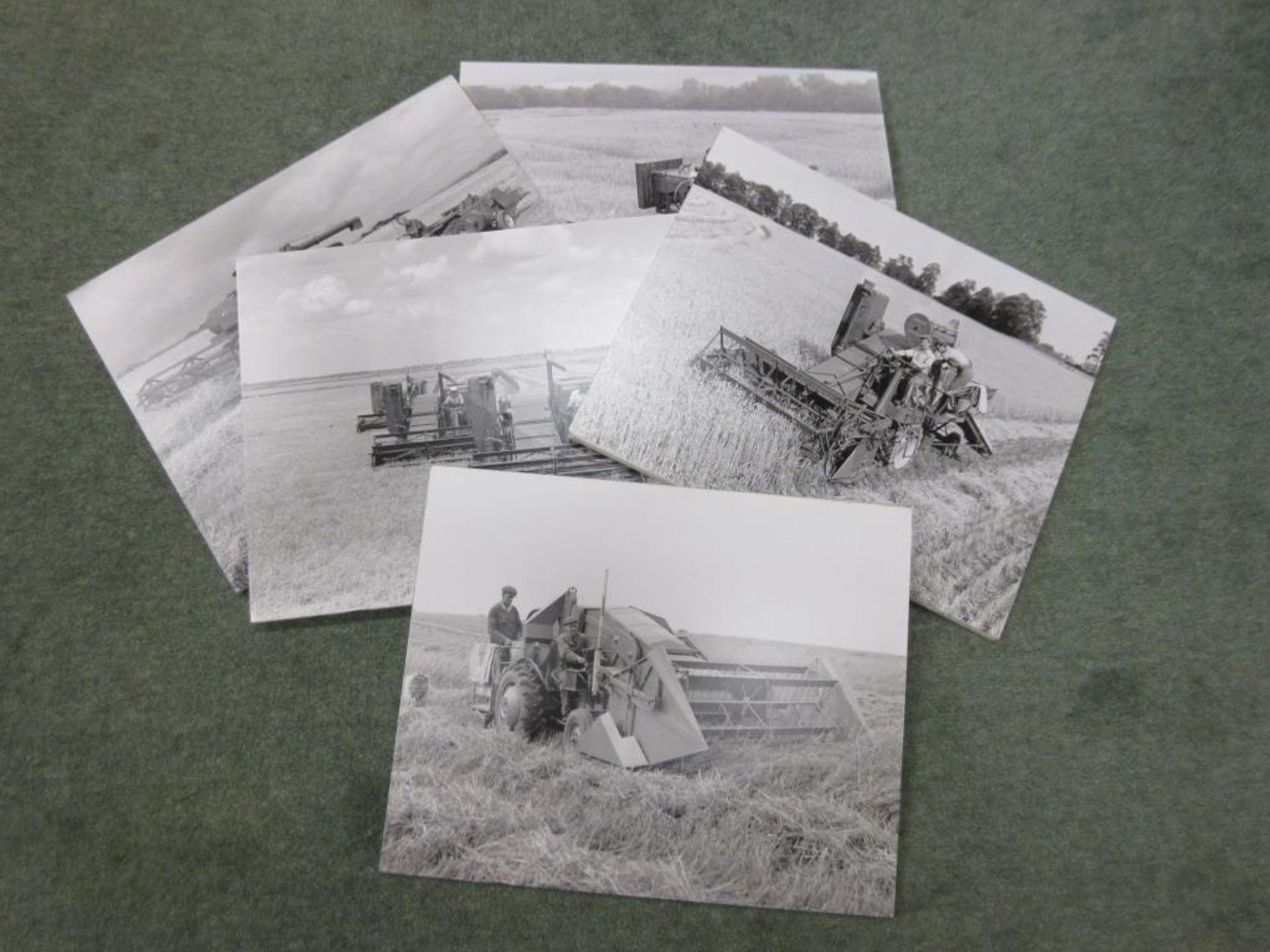 6no polystyrene boards depicting black and white images of a Ferguson combine, Massey Harris and