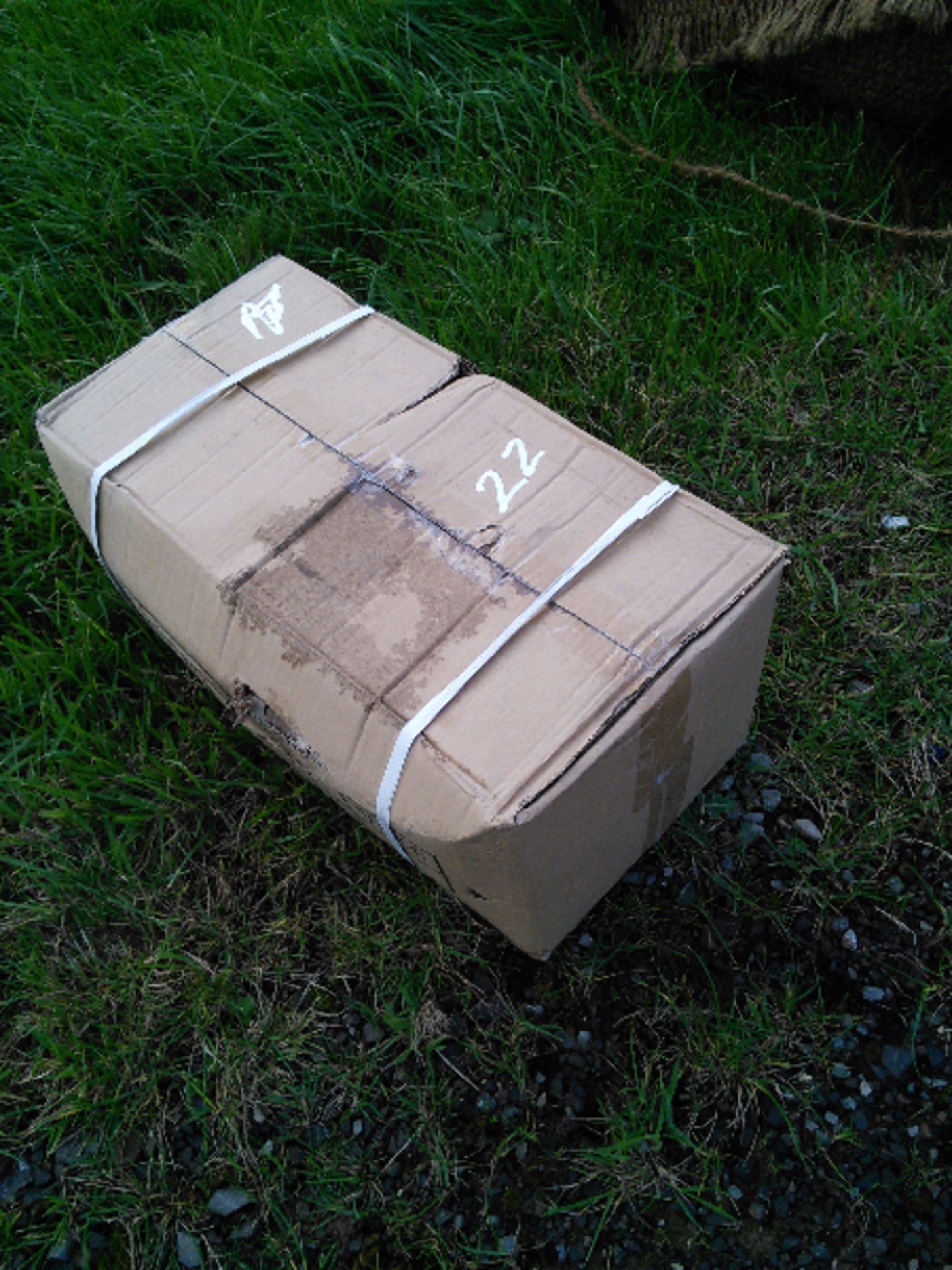 Box of Ratchet Straps