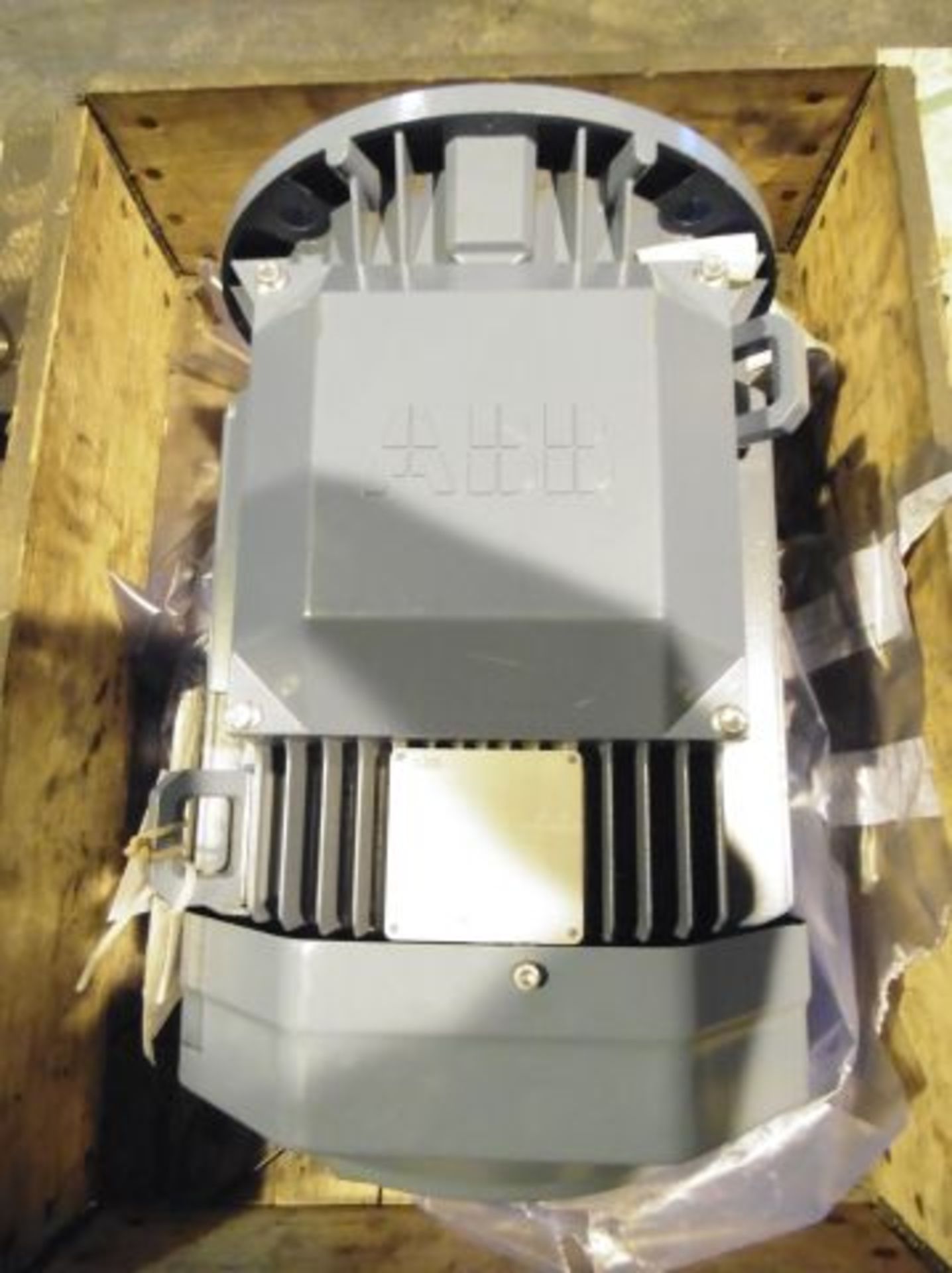 * ABB 15kw 3 Phase Motor; Type M3AA 160M2; 83KG; 2920 R/MIN. Loaded onto Buyer's Transport