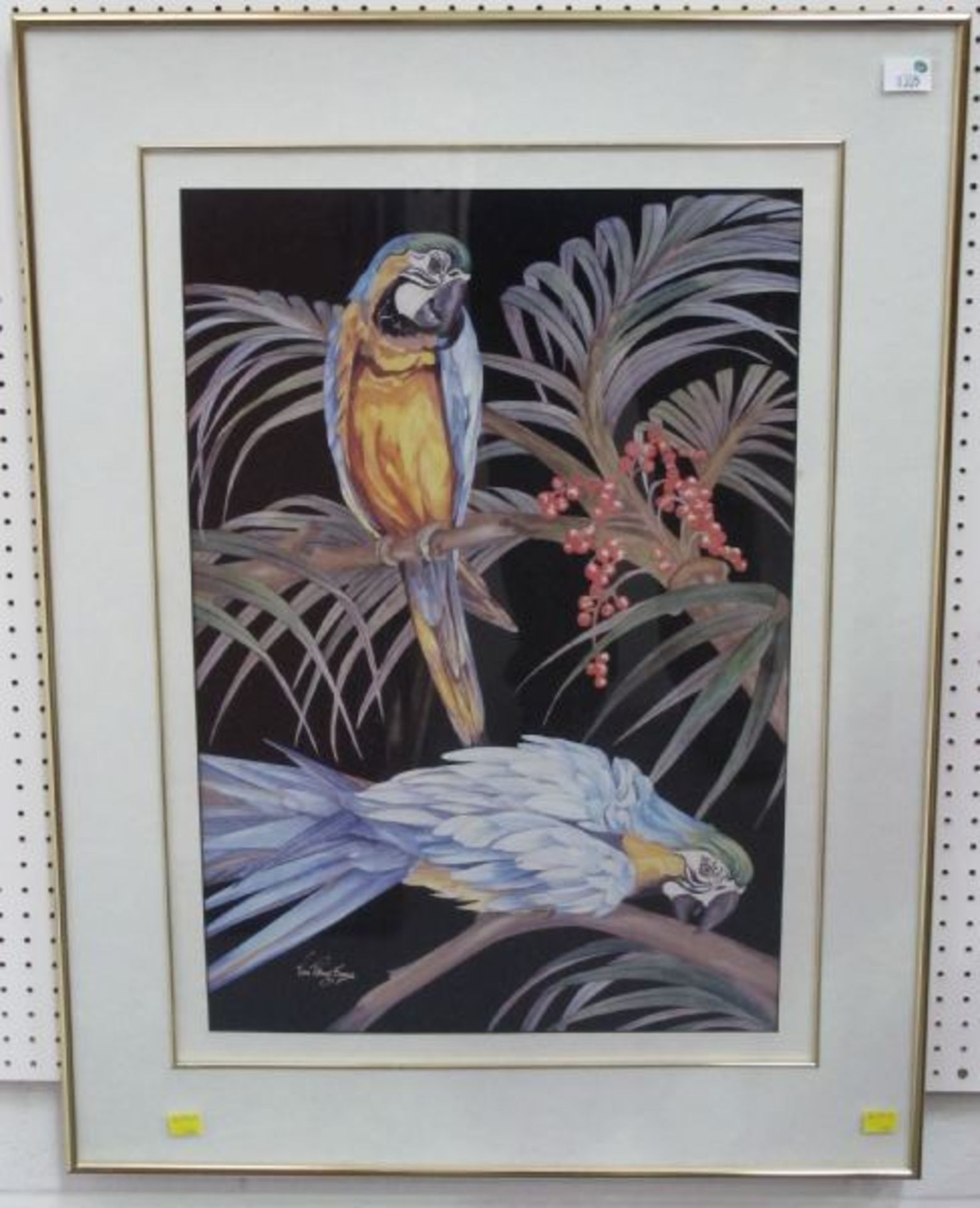 A Bold Print of Two Parrots Feeding from a Fruit Laden Branch by Van Tilbury Evans.  59.5cm x 40.
