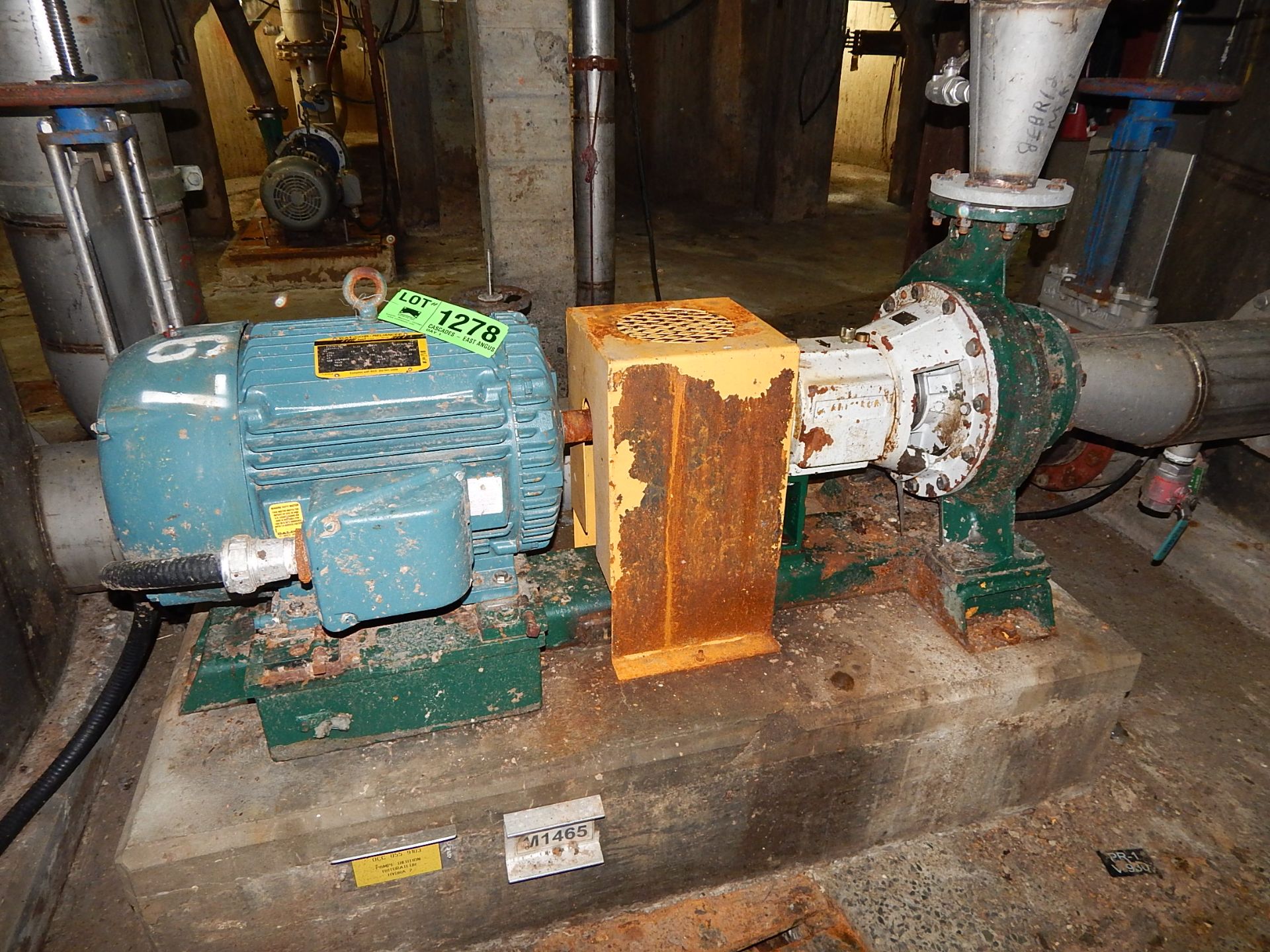 LOT/ 50HP ELECTRIC MOTOR WITH CENTRIFUGAL PUMP (CI)