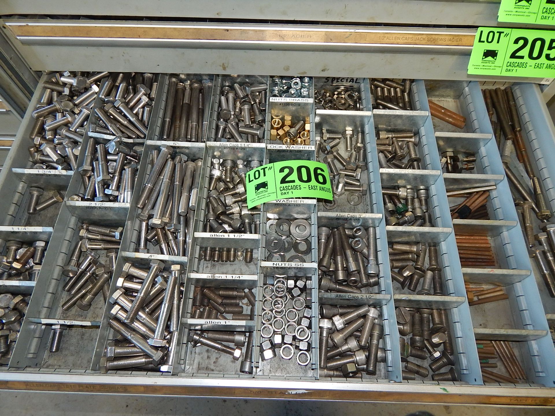 LOT/ CONTENTS OF DRAWER - STAINLESS STEEL FASTENING HARDWARE
