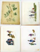 Album of ten Chinese watercolours on ric