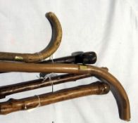 Five various walking sticks