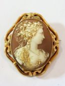 Victorian carved shell cameo brooch of l