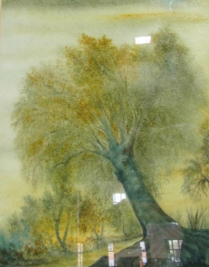 Watercolour drawing, tree at sunset, 40
