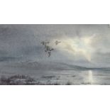 Owen Williams
Watercolour 
Trio of widgeon flying by moonlight, signed,